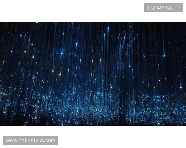 星空娱乐客服:为您提供全方位的专业服务体验 星空娱乐客服:为您提供全方位的专业服务体验