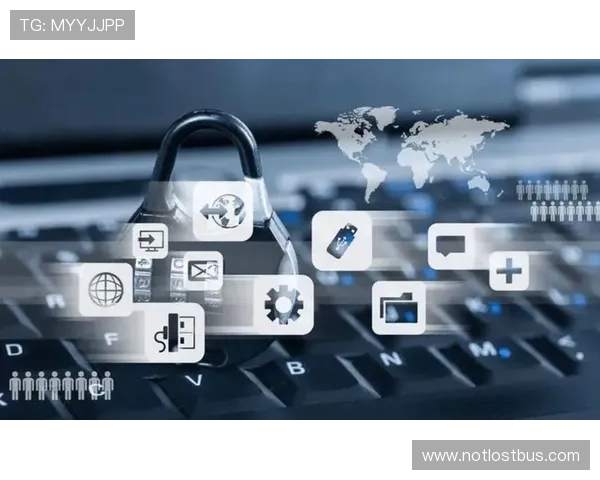 星空官方网站入口软件安全性评估与隐私保护措施