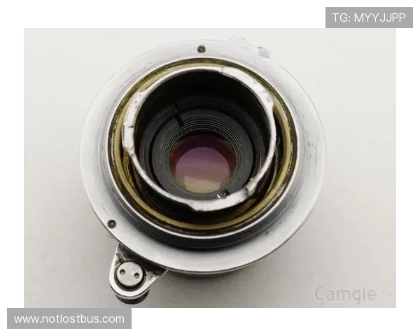 博鱼买球官方网站详解，正规平台确保您的资金安全与交易顺畅