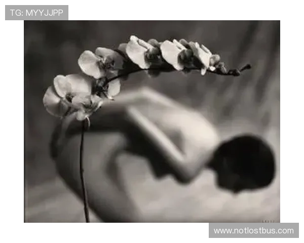 博鱼官网下载安装步骤详解，教你轻松掌握最新版本的完整流程