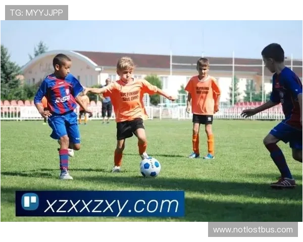 星空体育官方平台打造完善的用户互动社区，让体育迷们共同分享激情与喜悦