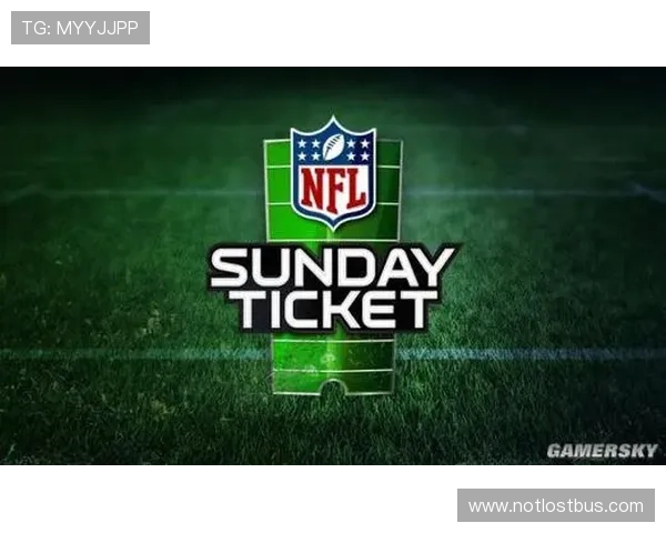 星空体育数字站携手多家合作伙伴共建体育数字新生态