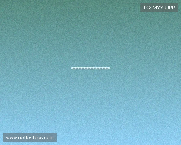 比利时与伊朗世界杯比赛前的关键战术分析及赛前提醒事项